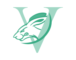 V 第25类服装鞋帽商标图样