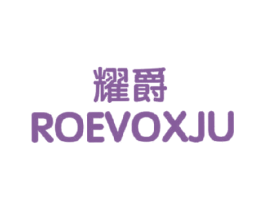 耀爵 ROEVOXJU 第9类科学仪器商标图样