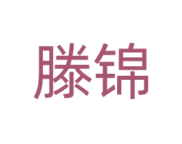 滕锦 第11类家用电器商标图样