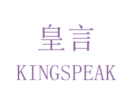 皇言 KINGSPEAK 第9类科学仪器商标图样