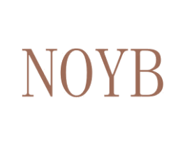 NOYB 第11类家用电器商标图样