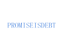 PROMISEISDEBT 第25类服装鞋帽商标图样