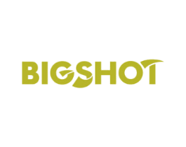 BIGSHOT 第10类医疗器械商标图样