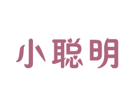 小聪明 第9类科学仪器商标图样