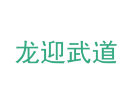 龙迎武道 第41类教育娱乐商标图样