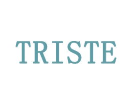 TRISTE 第14类珠宝钟表商标图样