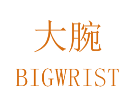 大腕 BIGWRIST 第19类建筑材料商标图样