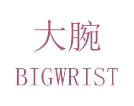 大腕 BIGWRIST 第27类地毯席垫商标图样