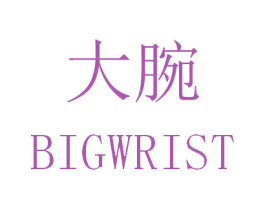 大腕 BIGWRIST 商标图样