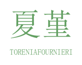 夏堇 TORENIAFOURNIERI 第5类医药商标图样