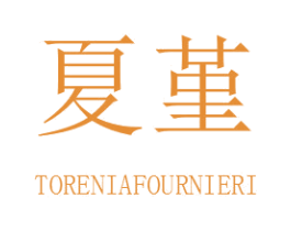 夏堇 TORENIAFOURNIERI 第35类广告贸易商标图样