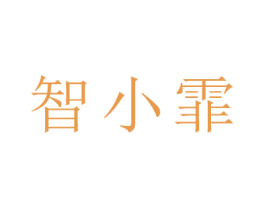 智小霏 第9类科学仪器商标图样