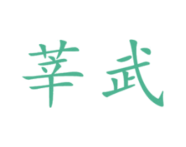 莘武 第10类医疗器械商标图样