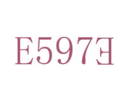 E597E 第25类服装鞋帽商标图样