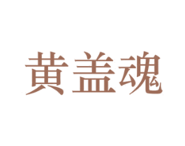 黄盖魂 第33类酒商标图样