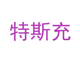 特斯充 第39类运输旅行商标图样