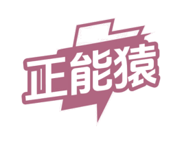 正能猿 第9类科学仪器商标图样