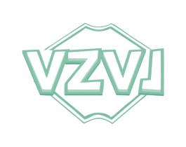 VZVJ 第12类运输工具商标图样