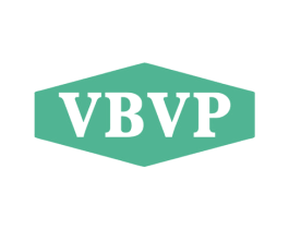 VBVP 第12类运输工具商标图样