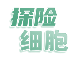 探险细胞 第28类体育玩具商标图样