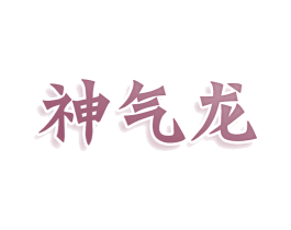 神气龙 第25类服装鞋帽商标图样
