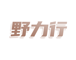 野力行 第9类科学仪器商标图样