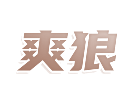 爽狼 第9类科学仪器商标图样