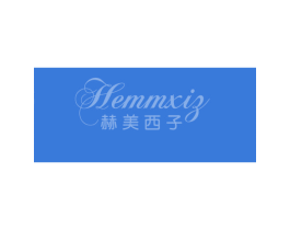 赫美西子 HEMMXIZ 第9类科学仪器商标图样