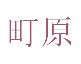町原 第9类科学仪器商标图样