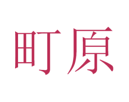 町原 第12类运输工具商标图样