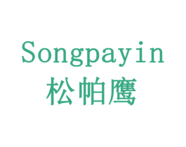 松帕鹰 SONGPAYIN 第9类科学仪器商标图样