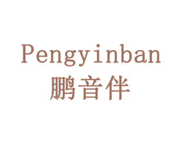 鹏音伴 第9类科学仪器商标图样