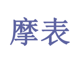摩表 第10类医疗器械商标图样