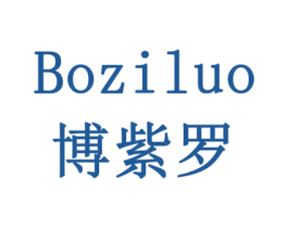 博紫罗 第10类医疗器械商标图样