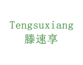滕速享 第19类建筑材料商标图样