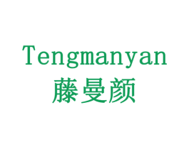 藤曼颜 第20类家具商标图样
