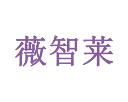 薇智莱 第21类厨房洁具商标图样
