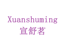 宣舒茗 第9类科学仪器商标图样