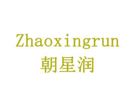 朝星润 第9类科学仪器商标图样