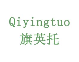 旗英托 第9类科学仪器商标图样