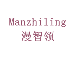 漫智领 第9类科学仪器商标图样