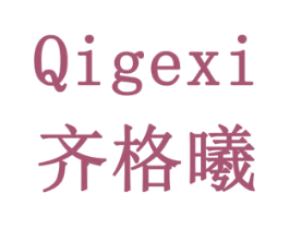 齐格曦 第9类科学仪器商标图样