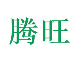 腾旺 第27类地毯席垫商标图样