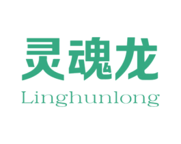 灵魂龙 第25类服装鞋帽商标图样