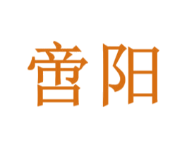 啻阳 第25类服装鞋帽商标图样