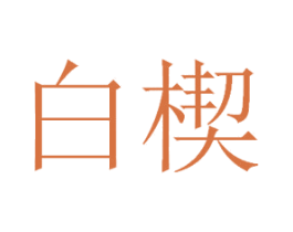 白楔 第25类服装鞋帽商标图样