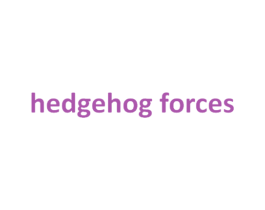 HEDGEHOG FORCES 第28类体育玩具商标图样
