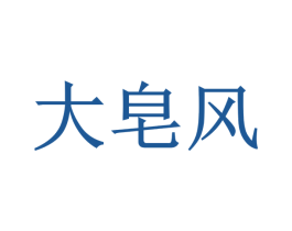 大皂风 第25类服装鞋帽商标图样