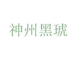 神州黑琥 第10类医疗器械商标图样