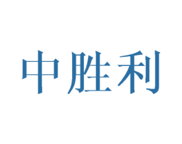 中胜利 第25类服装鞋帽商标图样